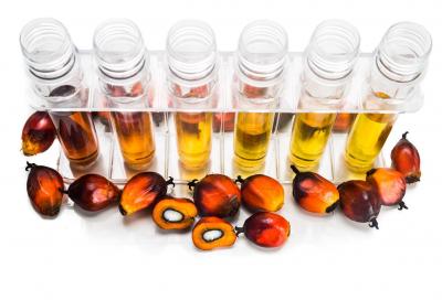 Biodiesel: il consumo di olio di palma è in forte aumento