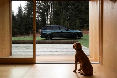 BMW X7 e Poldo Dog Couture